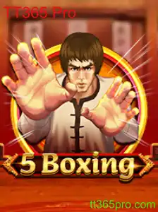 Desvendando as Regras e Dinâmicas do Jogo 5Boxing: A Revolução dos Esportes com TT365 Pro