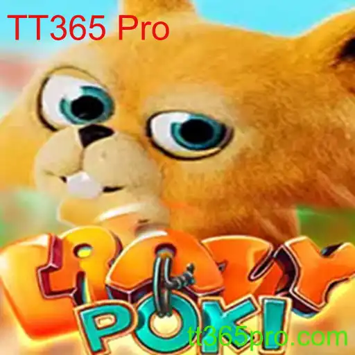 Descubra CrazyPoki: Aventura e Estratégia no TT365 Pro