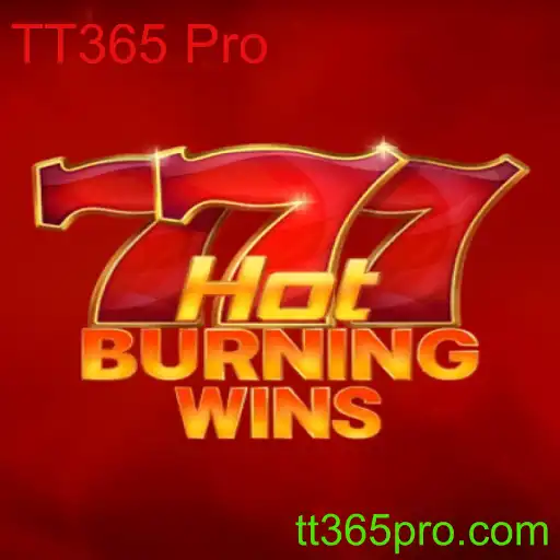 Explorando o Mundo Vibrante de HotBurningWins: Um Guia Completo