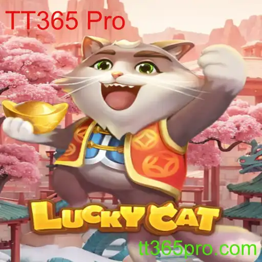 Descobrindo o Universo de LuckyCat e TT365 Pro