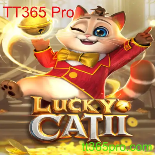 Explorando o Universo de LuckyCatII: Tudo sobre TT365 Pro