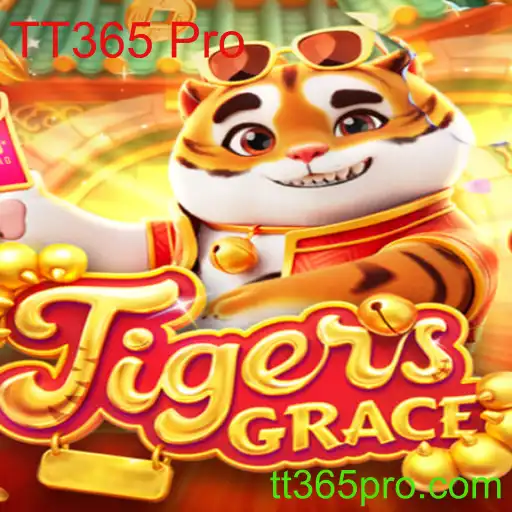 Explorando o Fascinante Mundo de TigersGrace e TT365 Pro