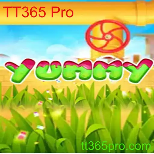 Descubra o Jogo Yummy: Uma Experiência Dinâmica com TT365 Pro
